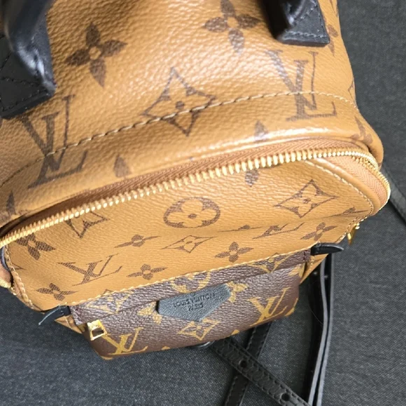 Louis Vuitton Palm Springs Mini In Reverse Monogram - Picture 6 of 7